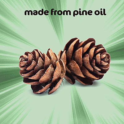 SRICLEAN | Pine Perfumed Phenyle 1L SRICLEAN | Pine Perfumed Phenyle 1L